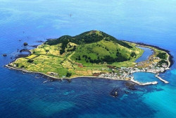 Mantan Polisi Ditangkap, Dugaan Bunuh Istri di Tempat Wisata Populer Jeju