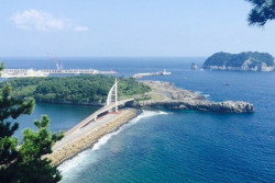 Kronologi Skandal Orang Hilang di Pulau Jeju, Polisi Ditahan dan Petinggi Dicopot