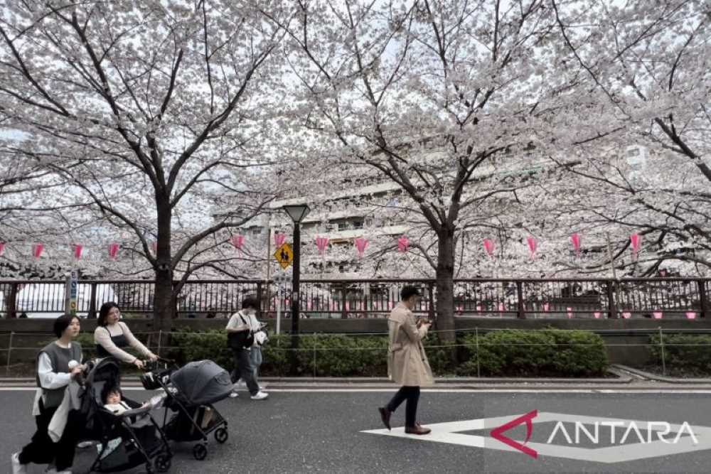 Izin Tinggal Tetap Jepang Rp22 Juta, Naik 1.900 Persen per Oktober 2026