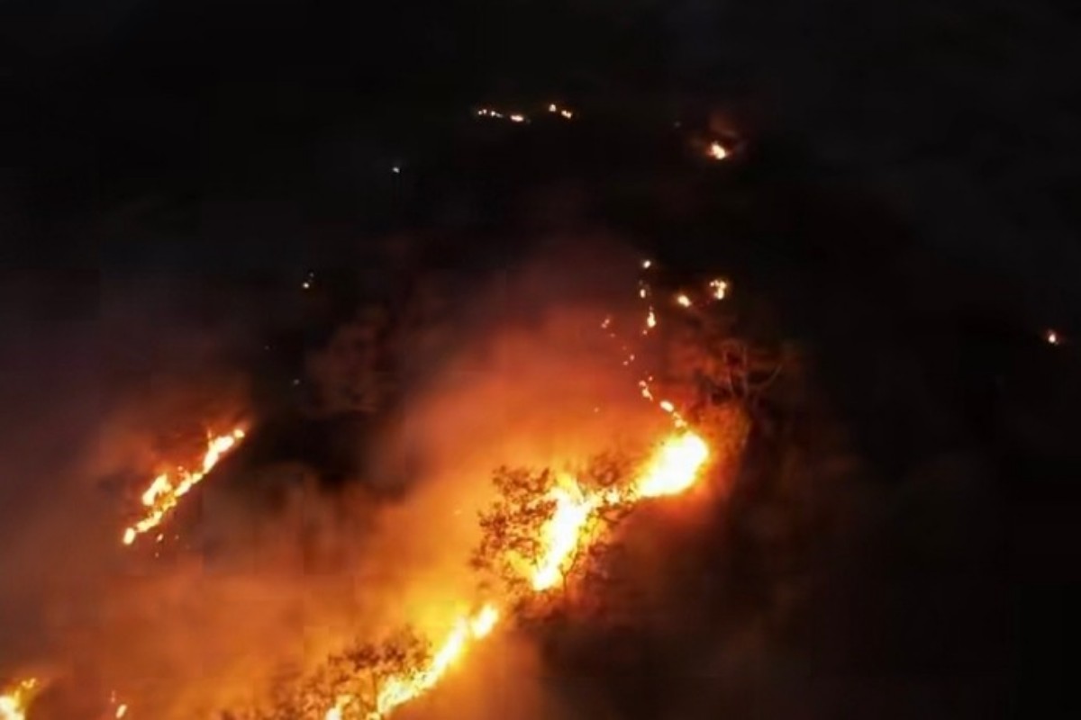 Vegetasi Merapi Terbakar Usai Awan Panas Meluncur 2 Km, Begini Kondisinya