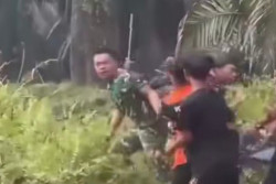 Viral 5 Anggota TNI Diserang Massa di Kebun Sawit Sarolangun Jambi, Ini Kronologinya