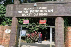 Malaysia Jadi Surga Trekking Asia Tenggara, Ini Daftarnya