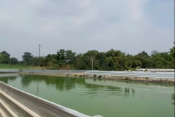 Kasus Kolam Koi Banguntapan Berlanjut, Warga Mengadu ke DPRD Bantul