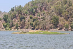 Debit Air Waduk Sermo Menyusut, Makam Lawas Perlahan Tampak