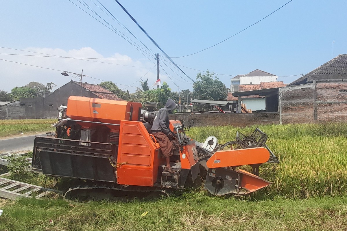 Kejar Surplus Beras 100.000 Ton, Bantul Percepat Masa Tanam