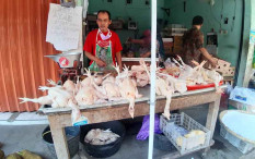 Inflasi Kota Jogja 0,24%, Kenaikan Harga Daging Ayam Ras Jadi Pemicu