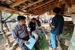 Sapi Warga Gunungkidul Ditemukan Mati, Diduga Dicuri dan Disembelih di Lokasi