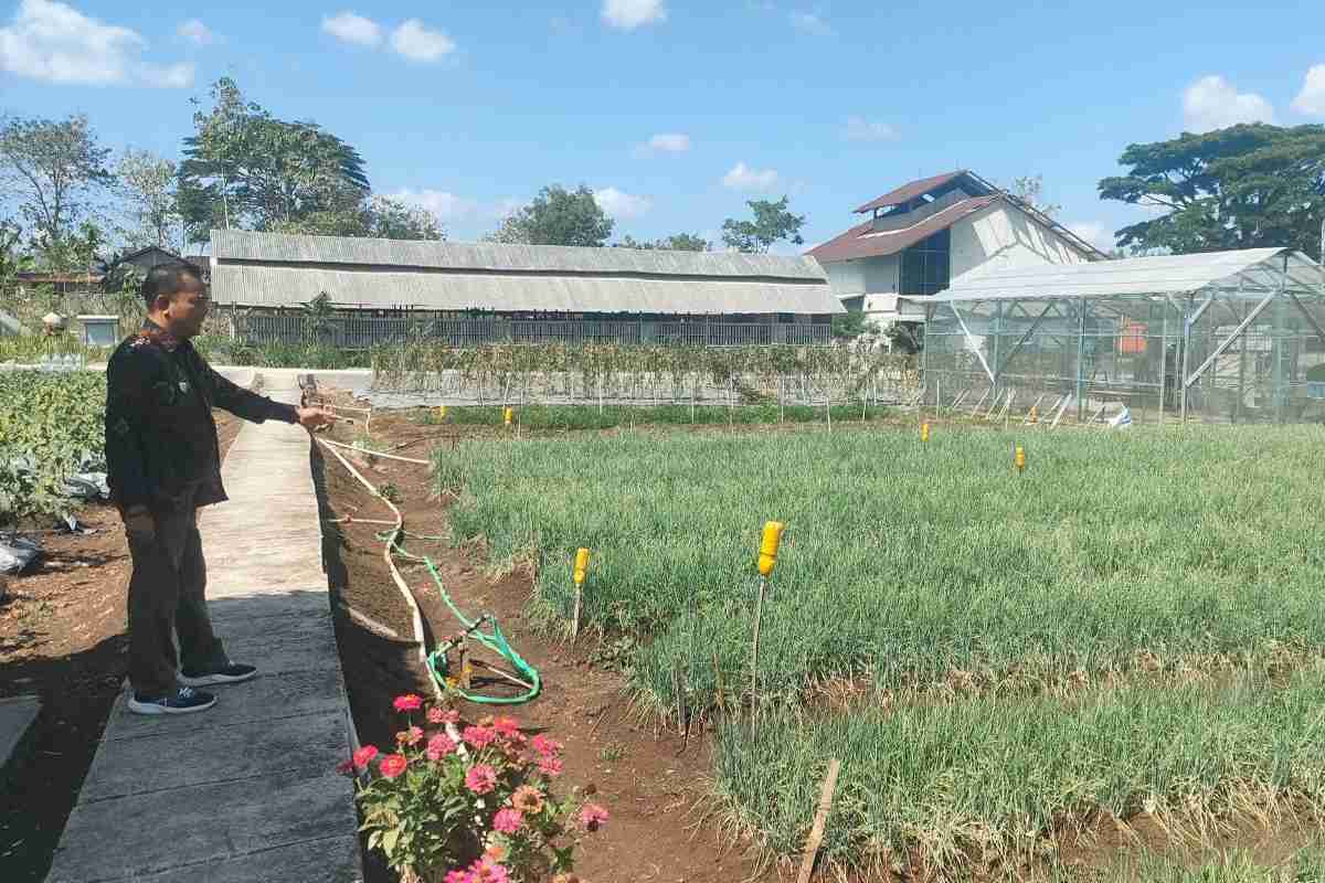 Lumbung Mataraman Bendung Disiapkan Pasok Kebutuhan MBG