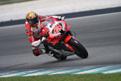 Tampil Melesat, Astra Honda Raih Podium dan Poin Penting di ARRC Sepang