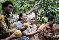 Nglanggeran Gunungkidul Diusulkan Jadi Acuan Desa Wisata Indonesia