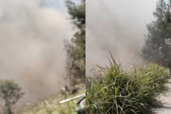 Lahan di Lereng Merapi Boyolali Terbakar, Diduga Dibakar Warga