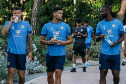 FC Seoul Rotasi Pemain, Peluang Persib Raih Poin di ACL Two