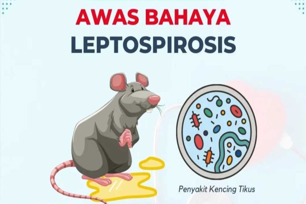 23 Kasus Leptospirosis di Jogja hingga Agustus 2026, Ini Imbauan Dinas Kesehatan