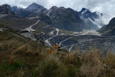 Freeport Siapkan Rp72 Triliun untuk Tambang Kucing Liar