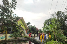 875 Laporan Kerusakan Masuk BPBD Sleman, 500 Dapat Bantuan
