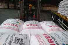 Pupuk Subsidi Bantul Baru Terserap 70 Persen, Petani Tunggu Musim Tanam