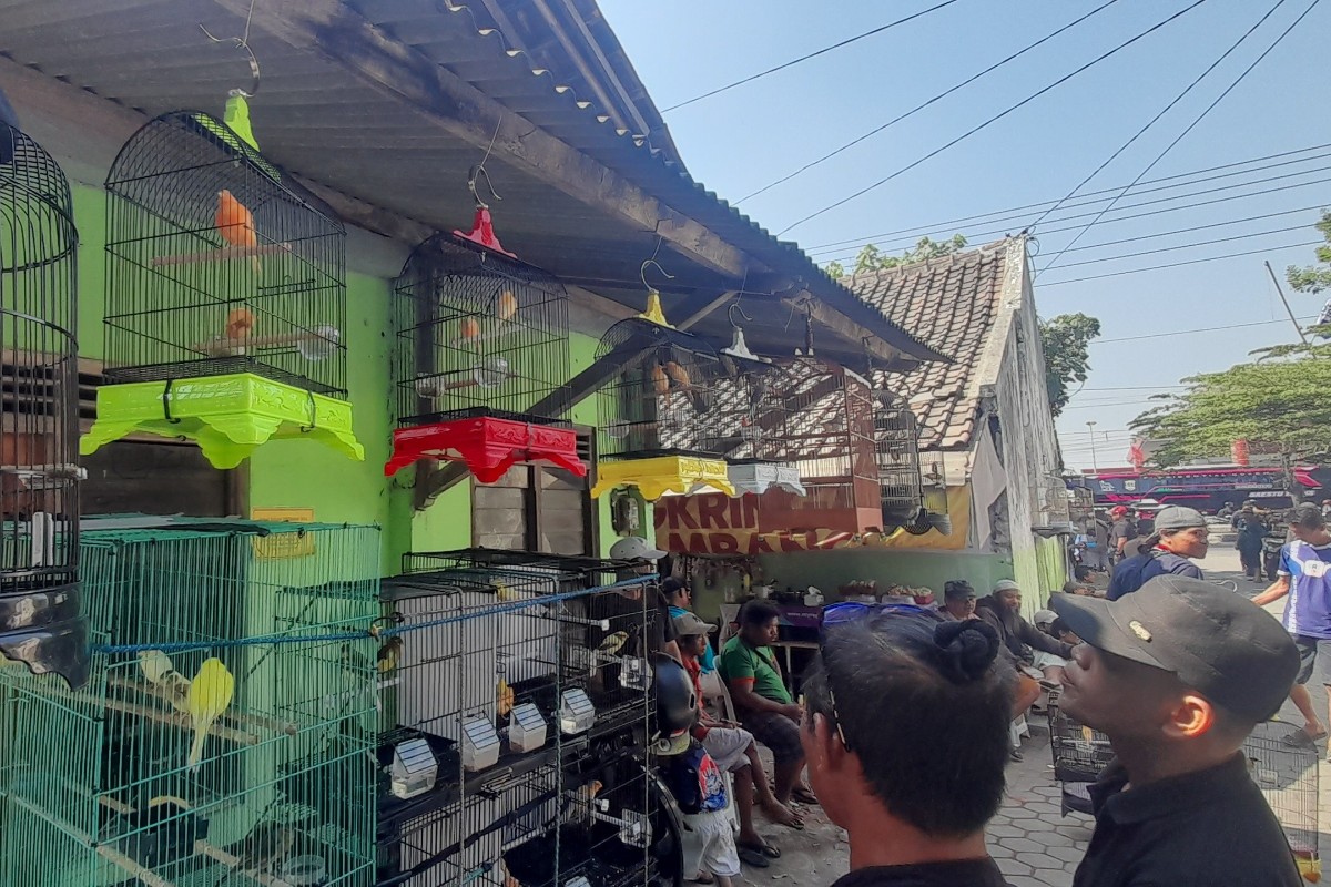 Pasar Burung Singosaren Tambah Pasaran Paing, Ini Alasannya