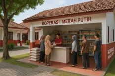 Status Manajer Kopdes Beda Versi Agrinas dan BUMN, Joao Bantah Pernyataan Dony Oskaria
