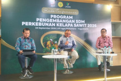 Produktivitas Jadi Tantangan, SDM Pekebun Sawit Terus Diperkuat