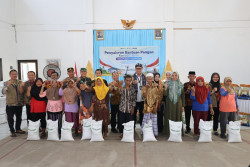 BULOG Masifkan Penyaluran Bantuan Pangan Beras Sejumlah 3.118 Ton, Jamin Akses Pangan