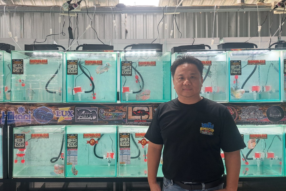 Harga Louhan di Jogja Bisa Tembus Rp30 Juta, Begini Peluang Bisnisnya