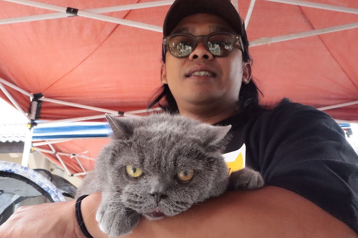 Kucing dan Coping Mechanism, Cara Sederhana Redakan Stres