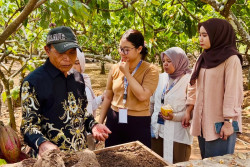 Tim UGM Dampingi Penguatan Daya Saing Produk Olahan Cokelat di Desa Wisata Nglanggeran