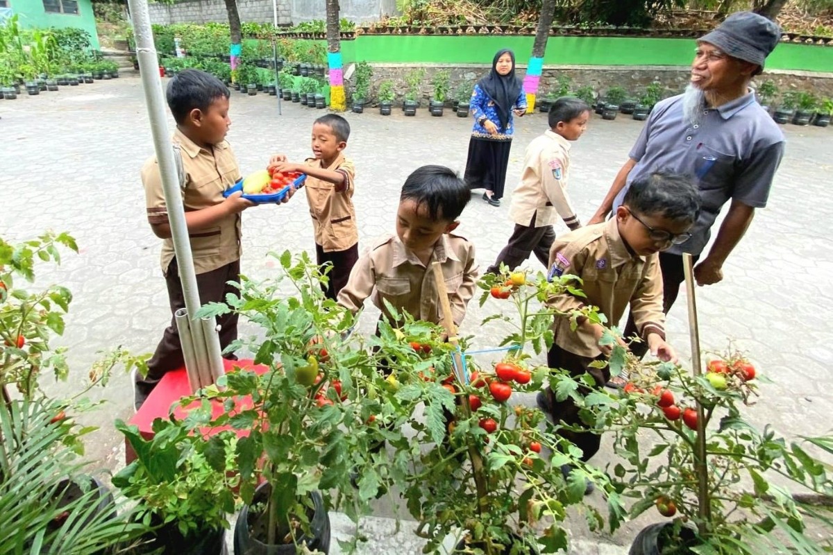 SDN Purwosari Sleman Sulap 600 Galon Bekas Jadi Kebun Sayuran