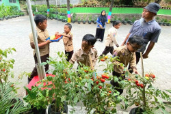 SDN Purwosari Sleman Sulap 600 Galon Bekas Jadi Kebun Sayuran