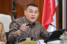 Pemerintah Matangkan Kelembagaan BRAN, Atur Tugas dan Wewenang