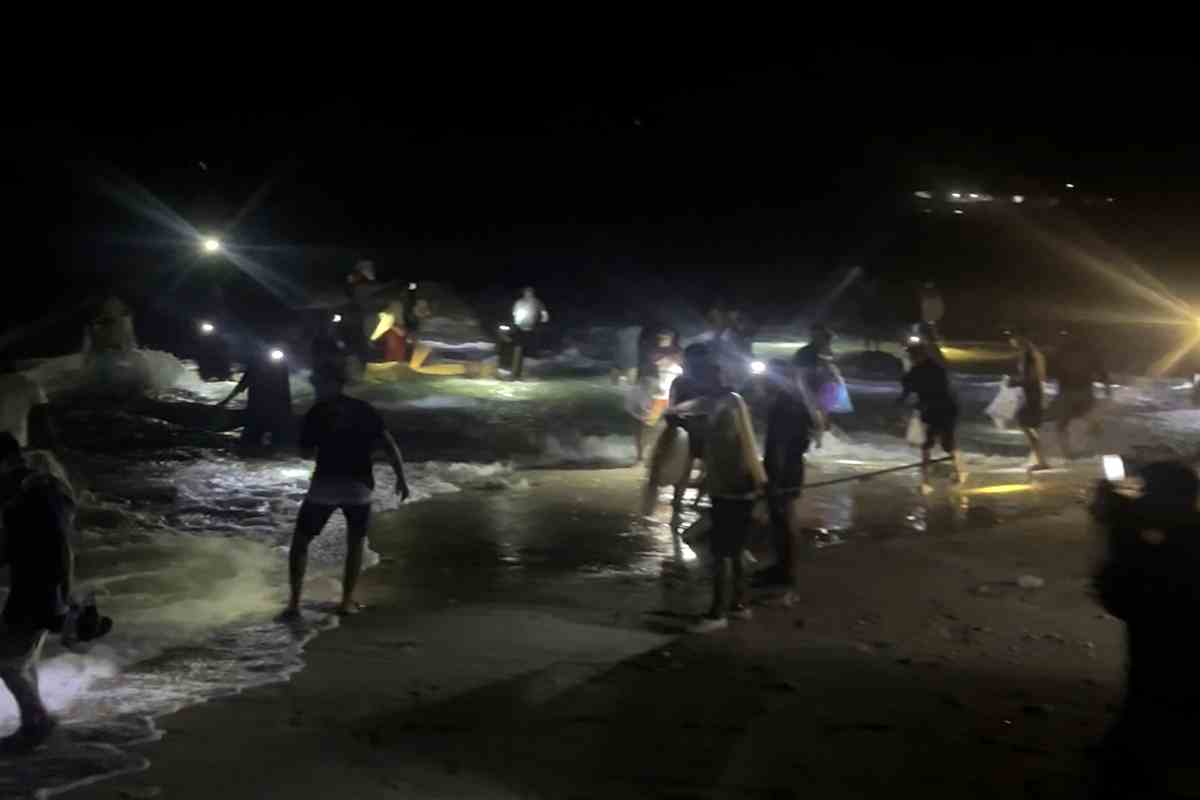 Teri Terdampar di Pantai Wediombo, Warga Gunungkidul Bisa Bawa Pulang 4 Kg