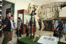 Hari Museum Indonesia, Dinas Kebudayaan Kota Jogja Gelar Pameran Trinetra