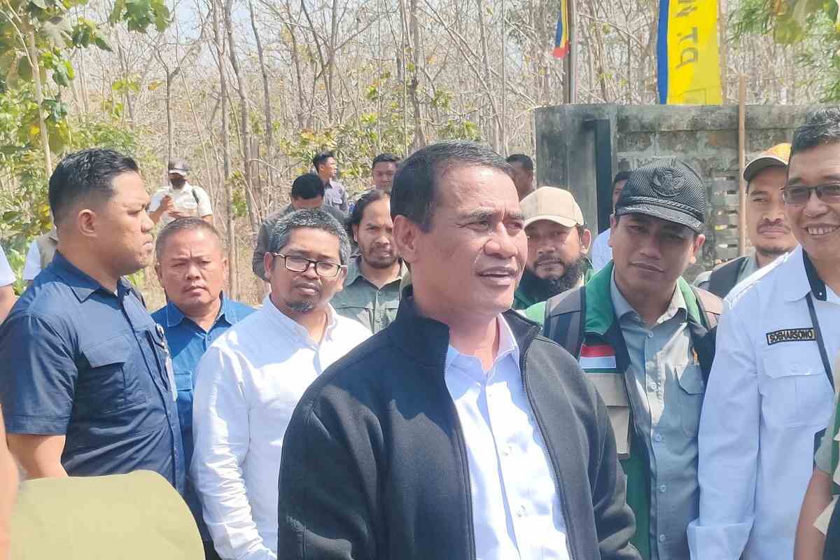 Harga Telur di Peternak Rp22.000 per Kg, Mentan Soroti Selisih Harga