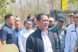 Harga Telur di Peternak Rp22.000 per Kg, Mentan Soroti Selisih Harga