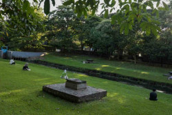 Wisdom Park UGM Gratis atau Berbayar? Ini Aturan dan Daftar Tarifnya