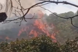 Karhutla Gunung Lawu Meluas, 100 Hektare Terbakar