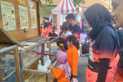 Edukasi Konsumsi Protein Ayam dan Telur Lewat Chicken and Egg Run 2026