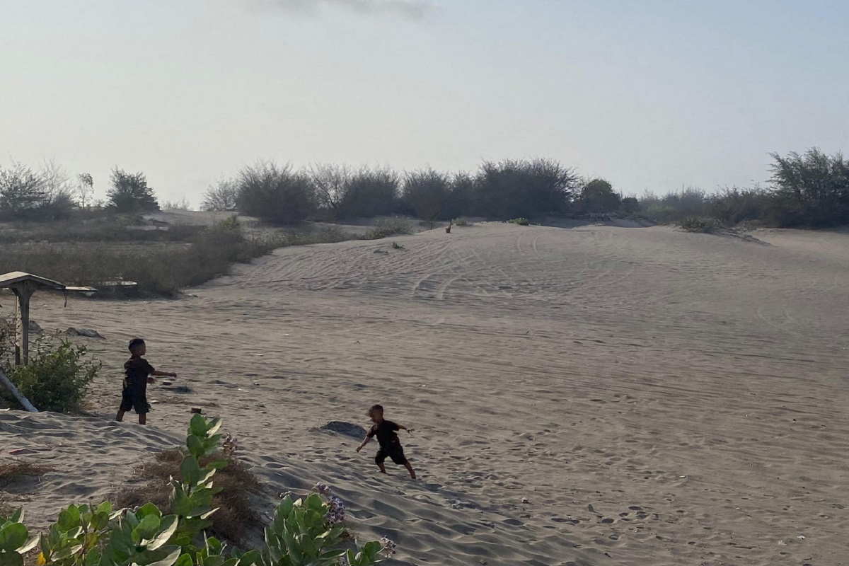 Restorasi Gumuk Pasir Bantul, DPRD Minta Tambang Ilegal Ditertibkan