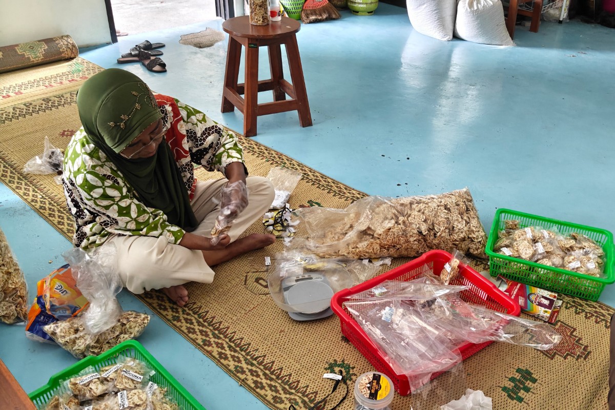 Kaliagung Kulonprogo Berdayakan Disabilitas Lewat Usaha Keripik dan Ternak