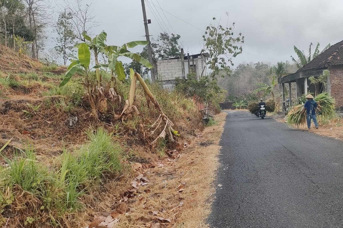 Gunungkidul Masuki Pancaroba, Angin Kencang Mulai Mengancam