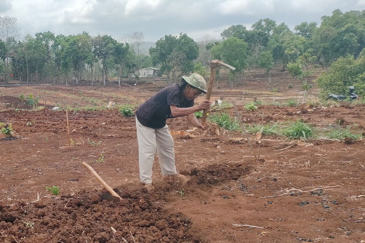 Petani Gunungkidul Olah Lahan, Musim Hujan Diprediksi Desember