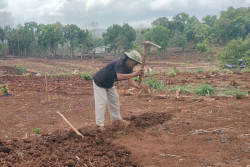 Petani Gunungkidul Olah Lahan, Musim Hujan Diprediksi Desember