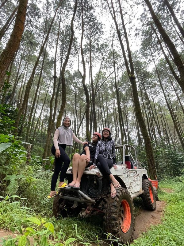Hutan Pinus Nglinggo./Instagram offroadmenoreh