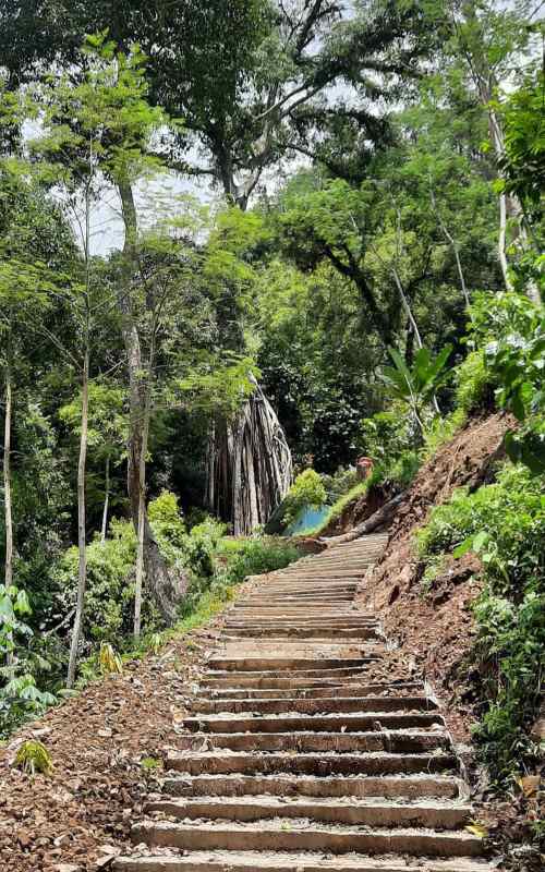 Jalan menuju ke Curug Muncar./Instagram @curugmuncarpurworejo