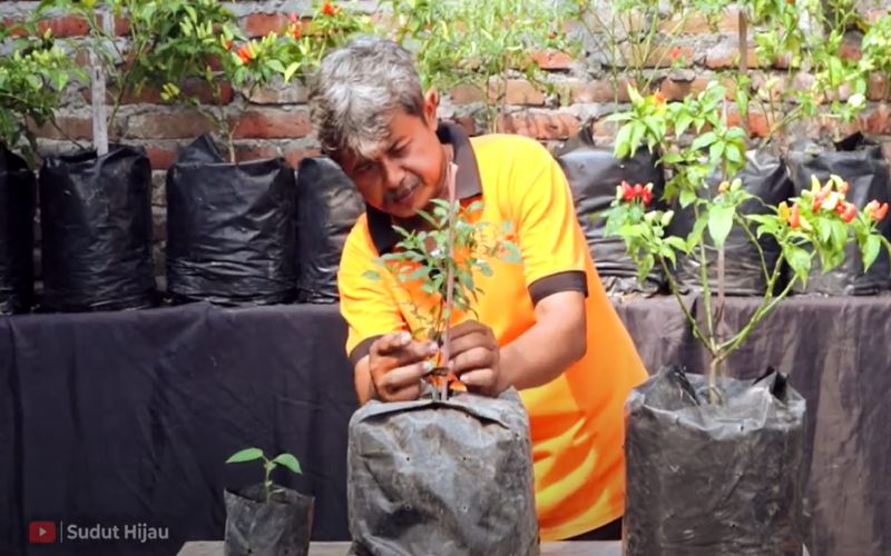 Tangkapan layar aksi Daliman di kanal Youtube-nya./Harian Jogja/Lajeng Padmaratri