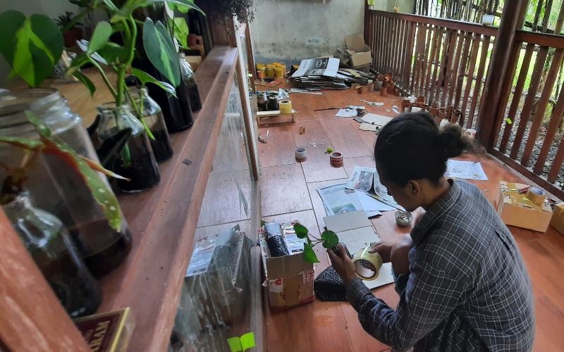 kegiatan menyiapkan pesanan tanaman di Kalplanter 