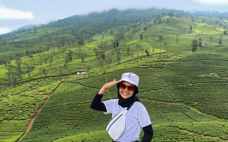 Wisatawan berfoto dengan latar kebun teh di sekitar Telaga Bedakah./Instagram @agrowisata_bedakah